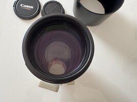 IMG_1528.jpeg
