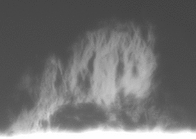 2026-06-18-0742Gamma=50(off)_lapl3_ap104_out_aligned.gif