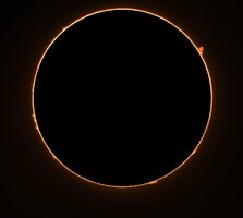 PRO2 180626.jpg