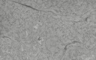 CapObj_091927_lapl3_ap9500.jpg