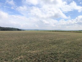 IMG_1671.jpg