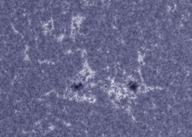 CapObj_100355_lapl3_ap12475.jpg