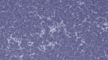 CapObj_100735_lapl3_ap32700.jpg