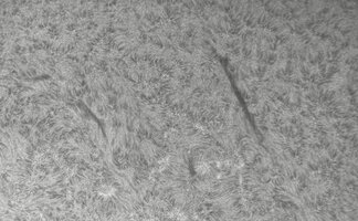CapObj_101359_lapl3_ap9535.jpg
