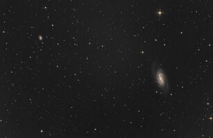 n2903_60x5_8zoll_50proz.jpg