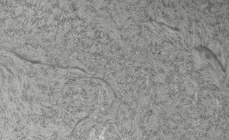 CapObj_085241_lapl2_ap9358.jpg