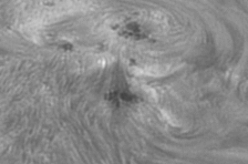 CapObj_092941_lapl2_ap9388299_out_aligned.gif
