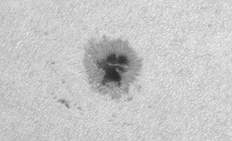 Sonne_240626_092109_B-p150feinc.jpg