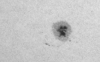 Sonne_240626_105013_B-p150c.jpg