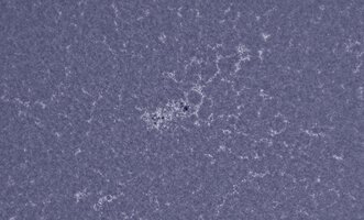 CapObj_091353_lapl2_ap34676.jpg