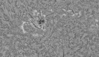 CapObj_084956_lapl2_ap10154.jpg