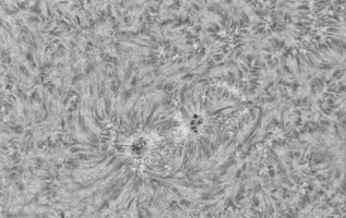 CapObj_085414_lapl2_ap3801.jpg