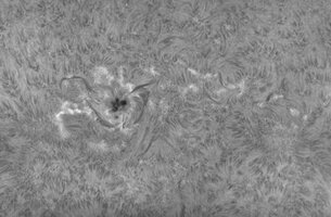 2026_06_26_Sonne_080049.jpg