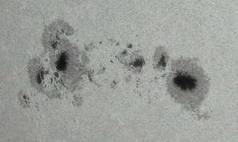 Sun 27.6.2026 4478 Barlow.jpg