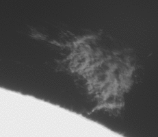 048088001782588559.gif