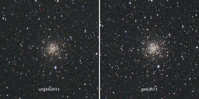 M56 20x30s unguided Apo806 ASI676MC uncooled and uncooled gain120 autostretch crop.jpg