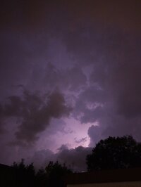 IMG_20260628_123049.jpg