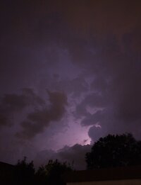 IMG_20260628_123017.jpg