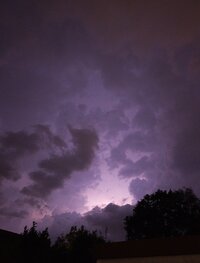 IMG_20260628_122954.jpg