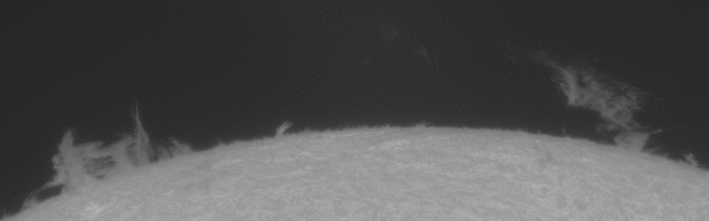 352299001782669302.gif