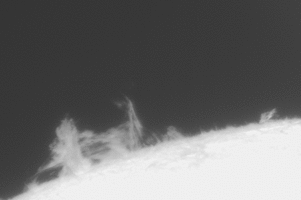 558585001782669238.gif