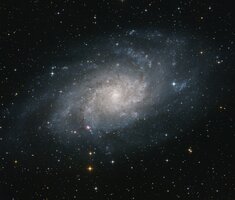 IMG_8013.jpeg