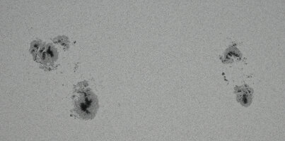 Sun 29.06.2026 Barlow.jpg