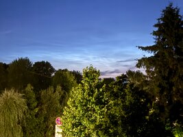 IMG_4442.jpeg