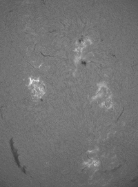 2026-06-29-0912_8-U-L-Sun_Halpha_g4_ap662_conv_aligned_pipp(1).gif