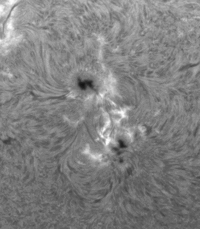 2026-06-29-1131_7-U-L-Sun_Halpha_g4_ap742_conv_aligned_pipp.gif