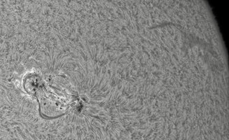 CapObj_090340_lapl2_ap3956.jpg