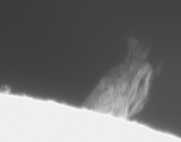 2026-07-01-1002_6-U-L-Sun_Halpha_g4_ap34_conv_aligned_pipp.gif