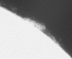 2026-07-01-1142_8-U-L-Sun_Halpha_g4_ap31_conv_aligned_pipp.gif
