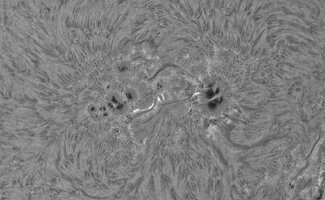 CapObj_093729_lapl2_ap8120.jpg