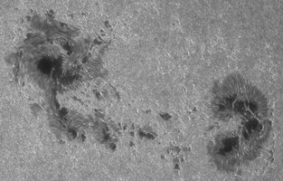 2026-07-02-0733_1-Sonne 250-3400-G-2nm_F40 (AR4479)-Registax-crop.jpg