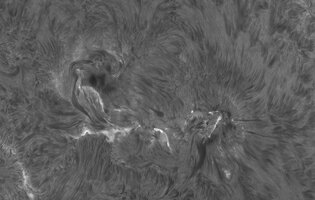 2026-07-02-0950_4-Sonne Ha Mak180-fok-DS-AM_P60 (AR4479)-klein.jpg