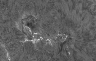 2026-07-02-0952_1-Sonne Ha Mak180-fok-DS-AM_P60 (AR4479)-klein.jpg