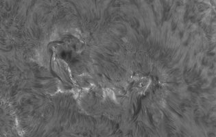2026-07-02-1002_5-Sonne Ha Mak180-fok-DS-AM_P60 (AR4479)-klein.jpg