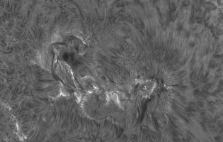 2026-07-02-1005_4-Sonne Ha Mak180-fok-DS-AM_P60 (AR4479)-klein.jpg