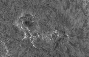 2026-07-02-1114_0-Sonne Ha Mak180-fok-DS-AM_P60 (AR4479)-klein.jpg