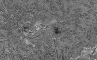 2026-06-30-0826_4-Sonne Ha Mak180-LS-Q-red-AM_P60 (AR4478)-klein.jpg