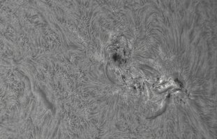 CapObj_083042_lapl3_ap7899.jpg