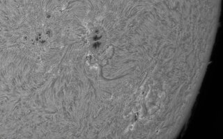 CapObj_083225_lapl3_ap8437.jpg