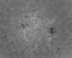260701_AR4478_WEB.jpg