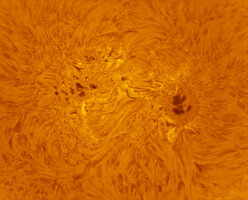 260701_AR4478_COL_WEB.jpg