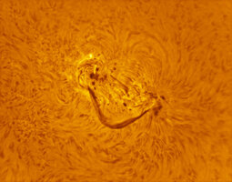 260701_AR4479_COL_WEB.jpg
