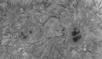 2026-07-02-0933_3-Sonne Ha Mak180-fok-DS-AM_P60 (AR4478)-klein.jpg