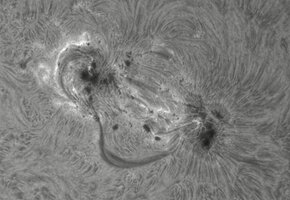Ar4478.jpg