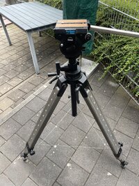 IMG_6173.jpeg
