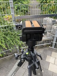 IMG_6174.jpeg